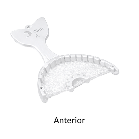 Fishbone Anterior