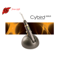 Cybird Gold Main w/ Gift
