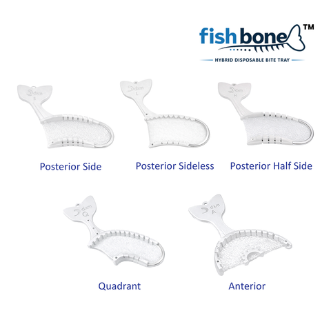 Fishbone Main