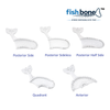 Fishbone Main