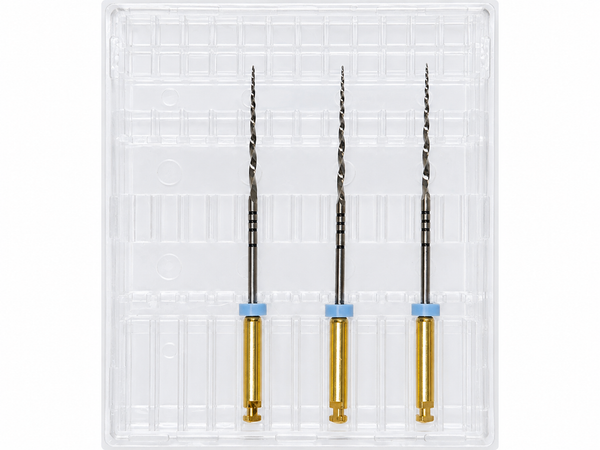 Next Gold Blue 31mm