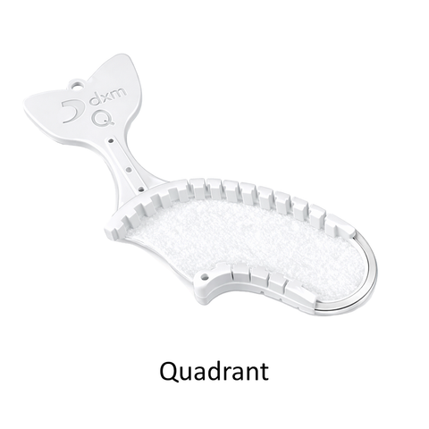 Fishbone Quad
