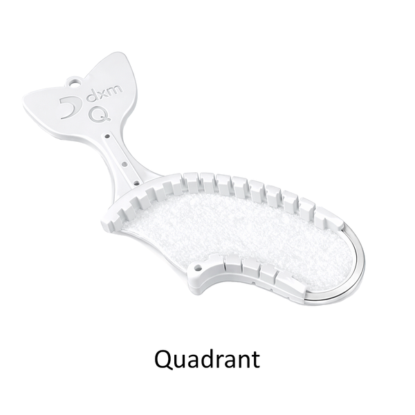 Fishbone Quad