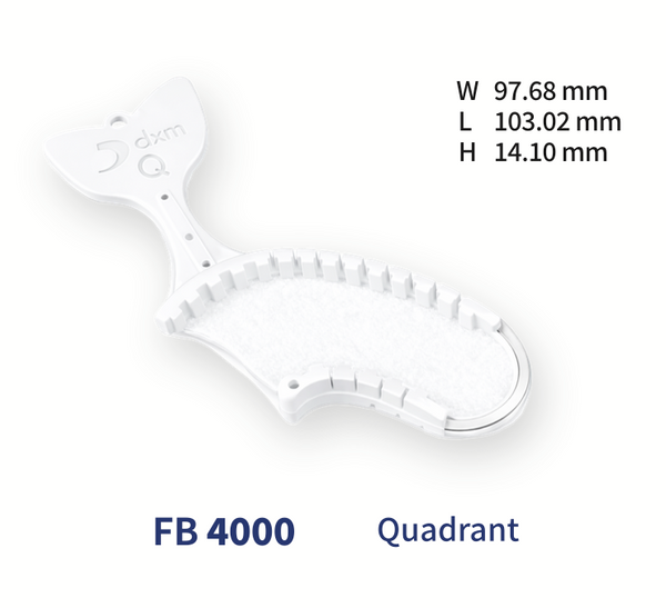 Fishbone Quadrant 